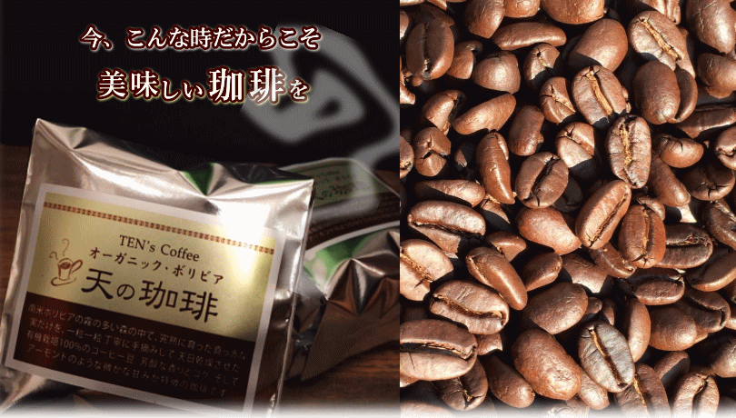 豆 自家焙煎 コスタリカ スペシャリティ コーヒー 200g オーガニック